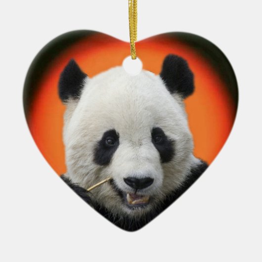 TAIのシャン語 セラミックオーナメント (正面)