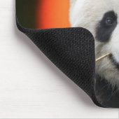 TAIのシャン語 マウスパッド (コーナー)