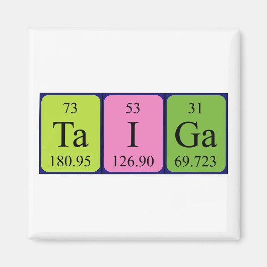 Taiga周期表名磁石 マグネット (正面)