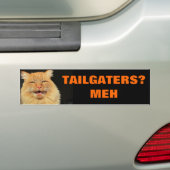 Tailgaters著感動しない猫 バンパーステッカー (車上)
