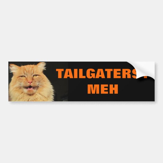 Tailgaters著感動しない猫 バンパーステッカー (正面)
