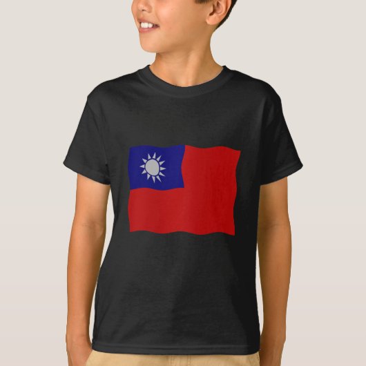 Taiwan flag tシャツ (正面)