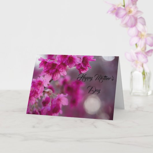 Taiwanese Cherry Tree Blossom カード (蘭)