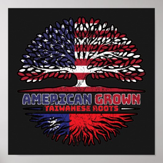 Taiwanese Taiwan US American USA United States ポスター (正面)