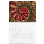 "Taiyou: 基本原則のに戻って"カレンダー カレンダー (2月 2026)