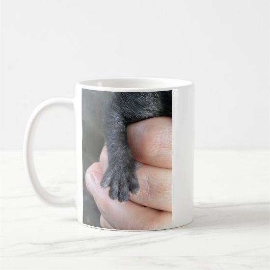 Take Care Of Me, Kitten Coffee Mug コーヒーマグカップ (左)