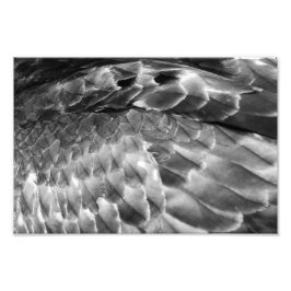 Take Flight フォトプリント