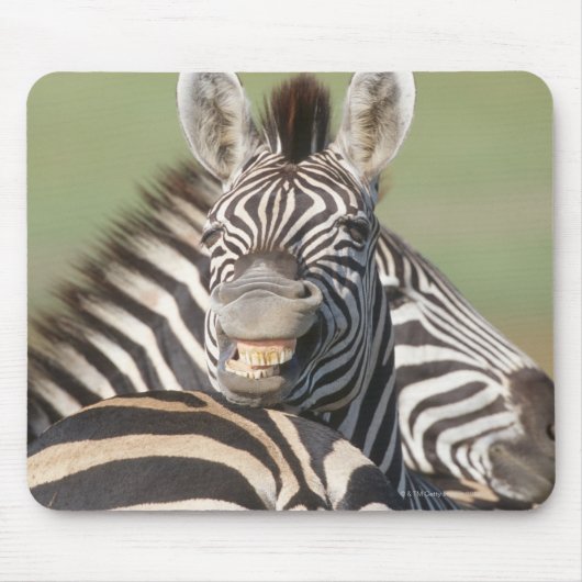 Tala Private Reserve, Kwazulu Natal, South マウスパッド (正面)