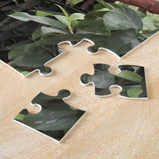 "Talkie talkie!" Tucan ジグソーパズル (側面)