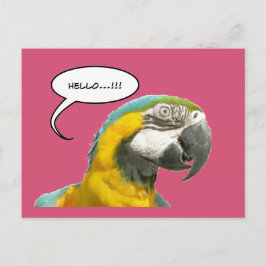Talking おもしろい Parrotハローハガキ ポストカード