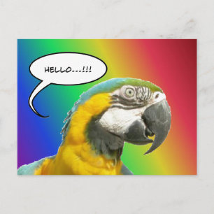 Talking おもしろい Parrot Rainbowハローハガキ ポストカード