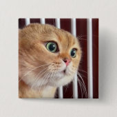 Talking Catsミームピンボタン 缶バッジ (正面)