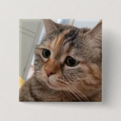 Talking Catsミームピンボタン 缶バッジ (正面)