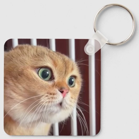 Talking Catsミーム両面キーチェーン キーホルダー (裏面)