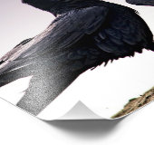 Talking Ravenフォトプリント フォトプリント (角)