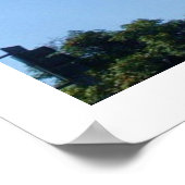 TALL PALM TREESポスター ポスター (角)