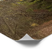 Tall Treeフォトポスター ポスター (角)