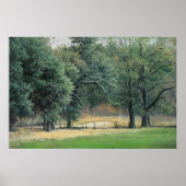 Tallahasseeフィールド1 ポスター (正面)