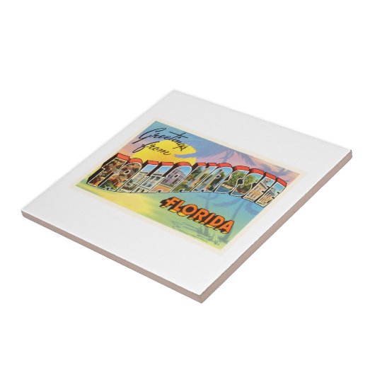 TallahasseeフロリダFLの古いヴィンテージ旅行記念品 タイル (側面)