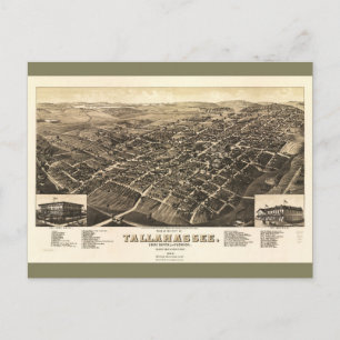 Tallahassee、フロリダ(1885年)の空中写真 ポストカード
