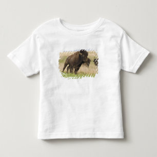 Tallgrassでの気性の荒い若いアメリカバイソン トドラーTシャツ