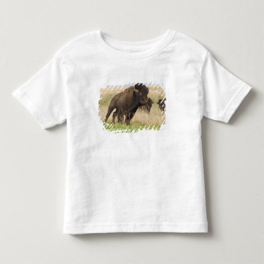 Tallgrassでの気性の荒い若いアメリカバイソン トドラーTシャツ (正面)