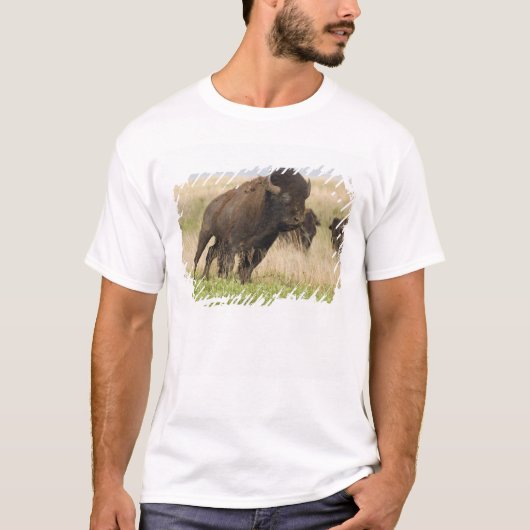 Tallgrassでの気性の荒い若いアメリカバイソン Tシャツ (正面)