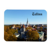 Tallinn Magnet マグネット (横)
