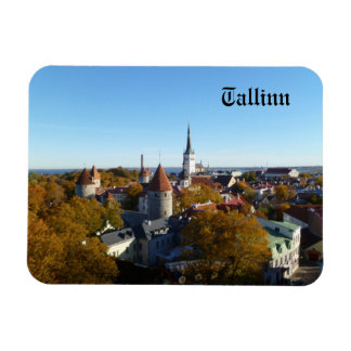 Tallinn Magnet マグネット