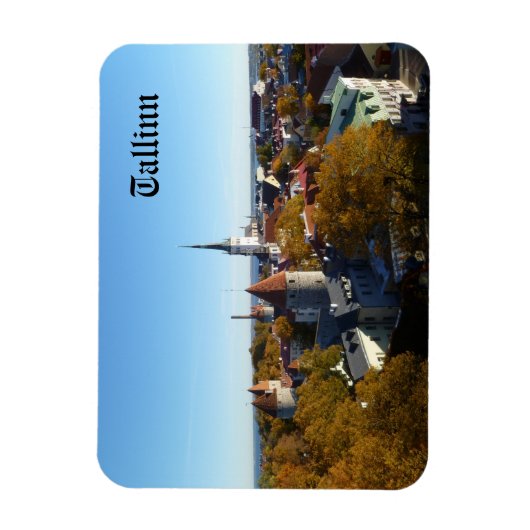 Tallinn Magnet マグネット (縦)