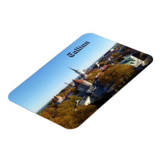 Tallinn Magnet マグネット (左側)