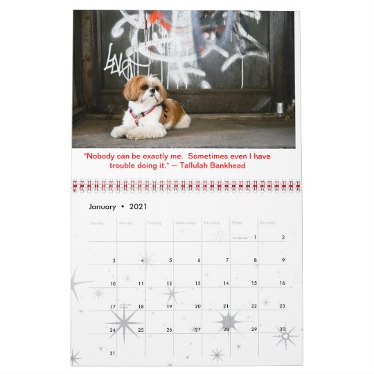 Tallulahの豆のカレンダーのかわいいシーズー 犬 Tzu カレンダー Zazzle Co Jp