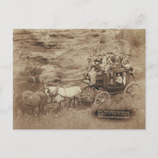 Tallyho Coachingはがき ポストカード (正面)