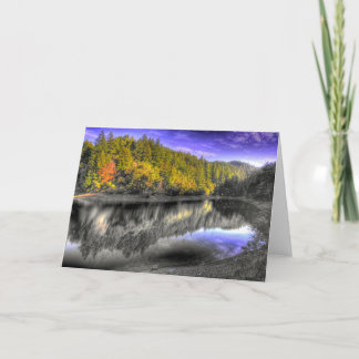 Tamの木の反射 カード