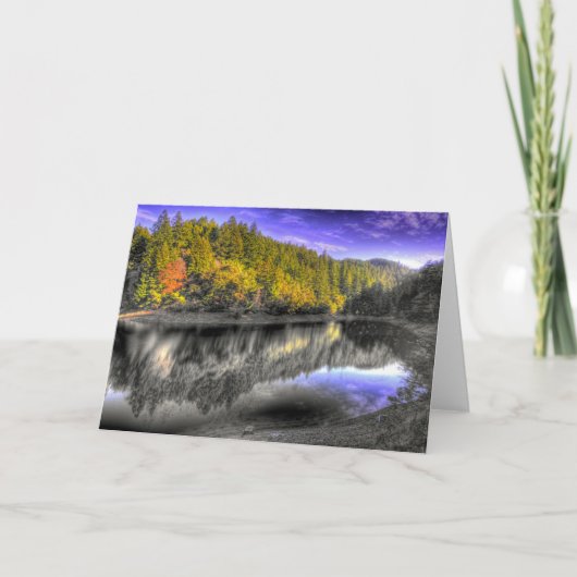 Tamの木の反射 カード (正面)