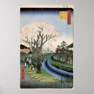 Tamaの川の銀行の桜 ポスター
