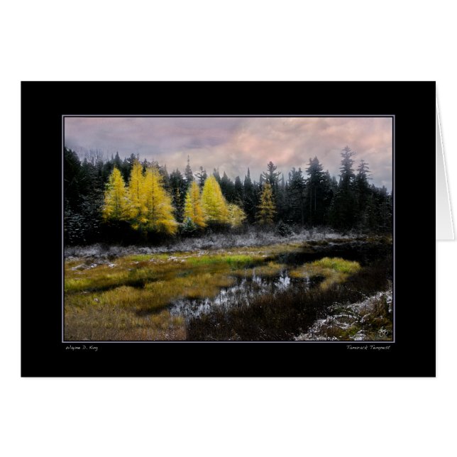 Tamarackの暴風雨 (正面横)