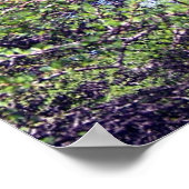 Tamarack Larch Tree 1ポスター ポスター (角)