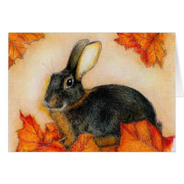 TANおよび黒 (正面横)