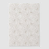 Tan and White Feathers Vellum Overlay ベラム紙招待状 (正面)