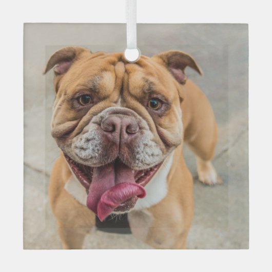 Tan Happy Dog写真 ガラスオーナメント (正面)