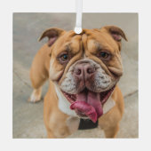 Tan Happy Dog写真 ガラスオーナメント (裏面)