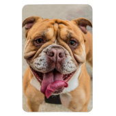 Tan Happy Dog写真 マグネット (縦)