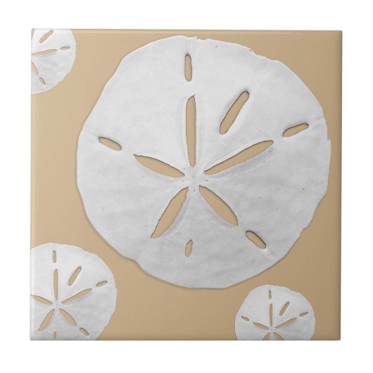 Tan & White Tropical Beach Sand Dollar タイル (正面)