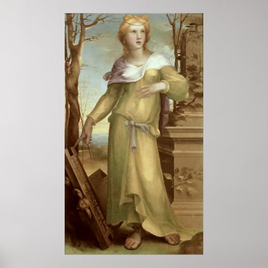 Tanaquil、c.1520-25 ポスター (正面)