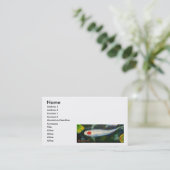 Tancho Kohakuのコイの名刺 名刺 (スタンド正面)