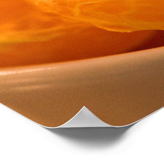 Tangerines Poster ポスター (角)