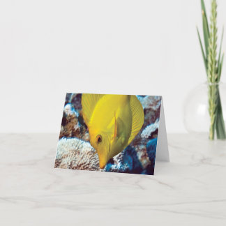 TangEssenceのメッセージカード カード