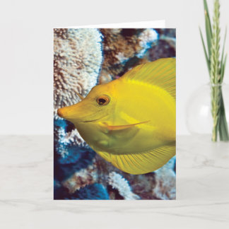 Tangessence カード