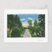 Tanglewood Gardens #2 ポストカード (正面)